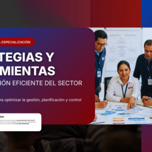 Estrategias y Herramientas para la Gestion Eficiente del Sector Publico