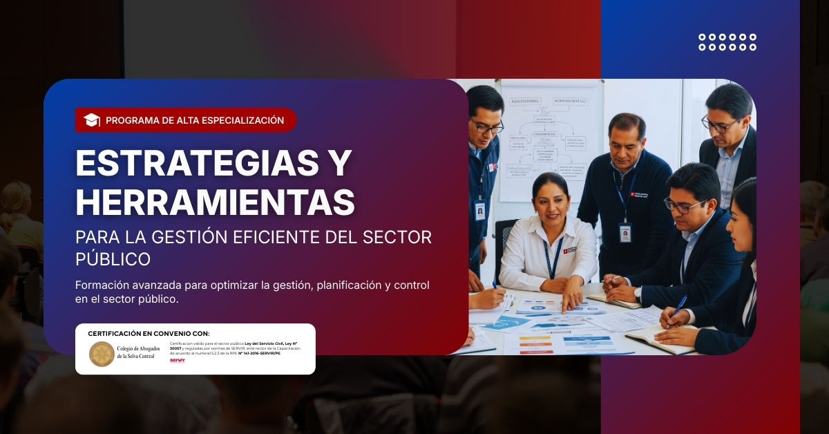 Estrategias y Herramientas para la Gestion Eficiente del Sector Publico